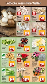 Ähnliche Angebote wie Regentonne im Prospekt "Dein Markt" auf Seite 5 von REWE in Iserlohn