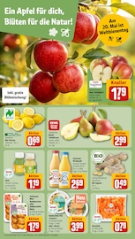 Ähnliche Kürbis Angebote im Prospekt "Dein Markt" von REWE in Neustadt Ähnliche Angebote wie Kürbis im Prospekt "Dein Markt" auf Seite 10 von REWE in Neustadt