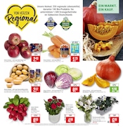 Aktueller Marktkauf Prospekt mit Stauden, "Aktuelle Angebote", Seite 5