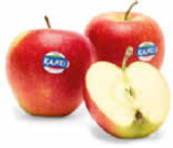 Apfel im Netto Marken-Discount Prospekt Apfel Kanzi im aktuellen Netto Marken-Discount Prospekt für 1,99 €
