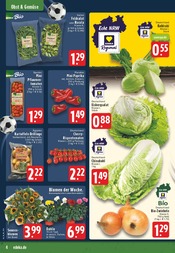 Blumen im EDEKA Prospekt in Essen Aktueller EDEKA Prospekt mit Blumen, "Aktuelle Angebote", Seite 4