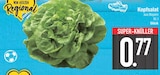 Kopfsalat im EDEKA Prospekt Kopfsalat von im aktuellen EDEKA Prospekt für 0,77 €