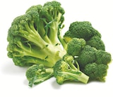 Broccoli bei Netto mit dem Scottie im Groß Wokern Prospekt für 0,89 €