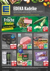 EDEKA Supermarkt Prospekt der aktuellen Woche mit 30 Seiten, gültig von 02.03.2026 bis 07.03.2026, in Tirpersdorf und Umgebung Aktueller EDEKA Supermarkt Prospekt in Tirpersdorf und Umgebung, "Wir lieben Lebensmittel!" mit 30 Seiten, 02.03.2026 - 07.03.2026