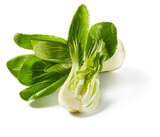 Pak Choi für 1,19 € bei Lidl im Angebot Pak Choi im aktuellen Lidl Prospekt