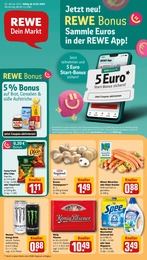 REWE Prospekt für Buxtehude mit 32 Seiten REWE Prospekt "Dein Markt" für Buxtehude, 32 Seiten, 13.01.2025 - 18.01.2025