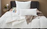 Aktuelles Ganzjahresbett Nena ca. 135 x 200 cm Angebot bei Möbelzentrum Pforzheim in Stuttgart ab 69,99 €
