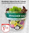 Salanova Trio-Mix bei GLOBUS im Prospekt "" für 1,11 €