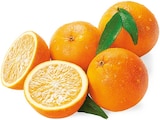 nahkauf Hattersheim - Orangen Angebot im Prospekt Orangen bei nahkauf im Hattersheim Prospekt für 2,79 €