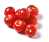 Tomaten bei Netto mit dem Scottie im Halle Prospekt für 2,39 €