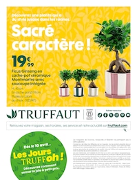 Offre Cache-Pot dans le catalogue Truffaut du moment à la page 14