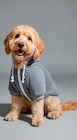 Hundepullover im Angebot bei Woolworth in Hemer Hundepullover Angebote bei Woolworth Hemer für 6,00 €