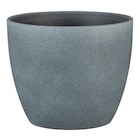 SCHEURICH Übertopf, Breite: 22 cm, weiß, Keramik - weiss im Hagebaumarkt Prospekt SCHEURICH Übertopf, Breite: 22 cm, weiß, Keramik - weiss von SCHEURICH im aktuellen Hagebaumarkt Prospekt für 11,99 €