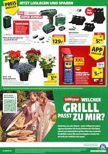 Hagebaumarkt Prospekt der aktuellen Woche, gültig von 06.06.2026 bis 20.06.2026 Aktueller Hagebaumarkt Prospekt "HIER GRILLT DEIN BESTPREIS" mit 20 Seiten