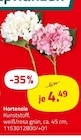 Aktuelle Hortensie Angebote bei ROLLER in Duisburg Aktuelles Hortensie Angebot bei ROLLER in Duisburg ab 4,49 €