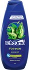 Shampoo im Netto Marken-Discount Prospekt Shampoo von Schauma im aktuellen Netto Marken-Discount Prospekt für 1,69 €