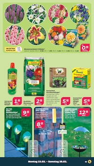 Gartengeräte Angebot im Netto mit dem Scottie Prospekt, gültig von 23.02.2026 bis 28.02.2026 Gartengeräte Angebot im aktuellen Netto mit dem Scottie Prospekt auf Seite 25