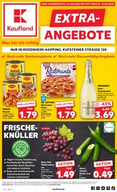 Aktueller Kaufland Prospekt mit Nudeln, "EXTRA-ANGEBOTE", Seite 1