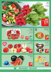 Aktueller Marktkauf Prospekt mit Gemüse, "AUSWAHL RIESIG, PREISE NIEDRIG", Seite 8