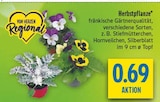 Herbstpflanze im Angebot bei diska in Plauen Herbstpflanze Angebote bei diska Plauen für 0,69 €