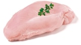 Frische Putenbrust  im aktuellen Netto mit dem Scottie Prospekt für 8,99 €