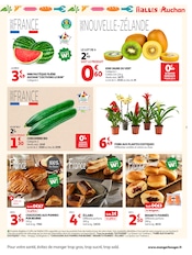 Promos Plante Verte dans le catalogue "LA RENTRÉE À PRIX K.O." de Auchan Supermarché Plante Verte en promo dans le catalogue Auchan Supermarché à la page 7