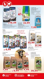 Katzenstreu im Zookauf Prospekt in Neubrandenburg Aktueller Zookauf Prospekt mit Katzenstreu, "Herbstliche Highlights für Groß & Klein", Seite 6