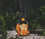 Deko-Solarleuchte im Angebot bei Lidl in Beckum Deko-Solarleuchte Angebote von Livarno Home bei Lidl Beckum für 6,99 €
