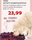 Activity Schnüffelteppich bei Raiffeisen Markt Neunkirchen im Prospekt "" für 23,99 €