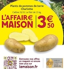 Promo Plants de pommes de terre Charlotte à 3,50 € dans le catalogue LaMaison.fr à La Guerche-de-Bretagne