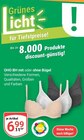BH mit oder ohne Bügel im Angebot bei GLOBUS in Halle BH mit oder ohne Bügel Angebote von OHO bei GLOBUS Halle für 6,99 €