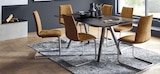 SCHWINGSTUHL im Angebot bei BRAUN Möbel-Center in Singen SCHWINGSTUHL Angebote von VENJAKOB bei BRAUN Möbel-Center Singen für 219,00 €