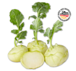 Kohlrabi Angebote von Marktliebe bei Penny Siegen für 0,49 €