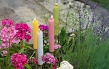 Gartenfackel Queen Angebote bei Hagebaumarkt Coesfeld für 2,99 €