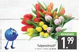 Tulpenstrauß im EDEKA Prospekt Tulpenstrauß im aktuellen EDEKA Prospekt für 1,99 €