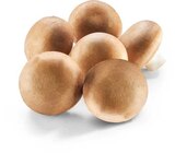 Champignon braun im aktuellen Netto Marken-Discount Prospekt für 1,79 €