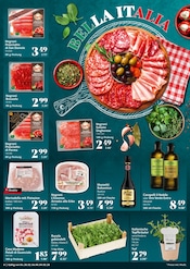 Aktueller Selgros Prospekt mit Pflanzen, "cash & carry", Seite 6