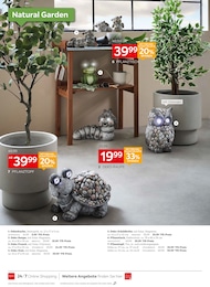 Pflanztopf Angebot & Preis im aktuellen XXXLutz Möbelhäuser Prospekt Pflanztopf Angebot im aktuellen XXXLutz Möbelhäuser Prospekt auf Seite 14