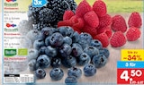 Himbeeren Angebote von Driscoll's bei Netto Marken-Discount Freiberg für 4,50 €