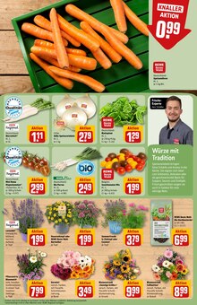 Pflanzen im aktuellen REWE Prospekt (Nürnberg) Pflanzen im REWE Prospekt "Dein Markt" mit 30 Seiten (Nürnberg)
