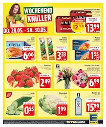 Deko-Pflanzen im EDEKA Prospekt Deko-Pflanzen im EDEKA Prospekt "Wir lieben Lebensmittel." auf Seite 25