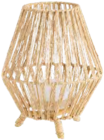 Lampe sisine à 79,99 € dans le catalogue Botanic
