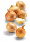 Zwiebeln von HEIMAT im aktuellen Netto Marken-Discount Prospekt für 1,49 €