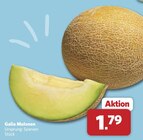 Galia Melonen bei combi im Prospekt "" für 1,79 €