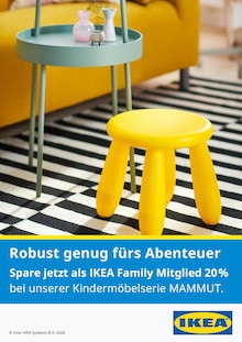 Kopfkissen im IKEA Prospekt "Robust genug fürs Abenteuer" mit 1 Seiten (Aachen)