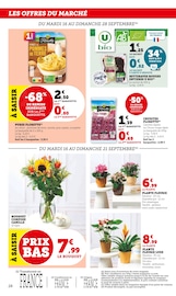 Fleurs Angebote im Prospekt "Super U" von Super U auf Seite 28