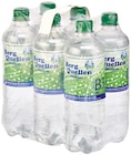 Mineralwasser im Angebot bei REWE in Saarbrücken Mineralwasser Angebote von Berg Quellen bei REWE Saarbrücken für 2,70 €