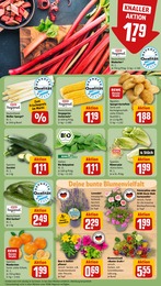 Zucchini Angebot im aktuellen REWE Prospekt auf Seite 9
