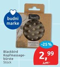 Kopfmassagebürste von Blackbird im aktuellen budni Prospekt