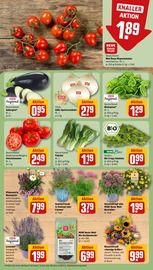 Blumen im REWE Prospekt in Rastatt Aktueller REWE Prospekt mit Blumen, "Dein Markt", Seite 7